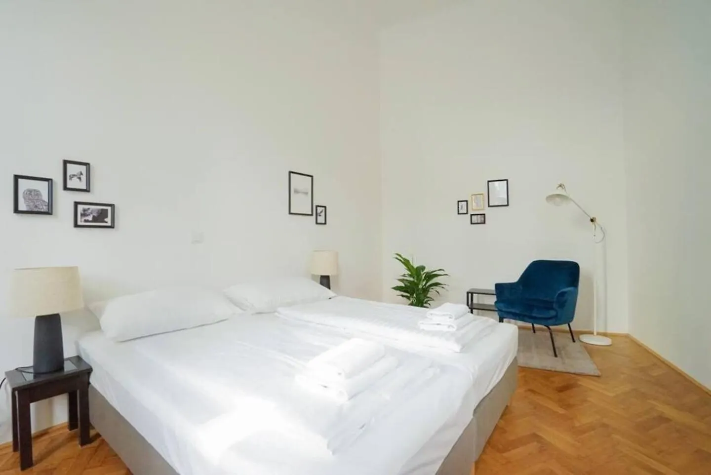 Beautiful Apartments In Vienna Austria